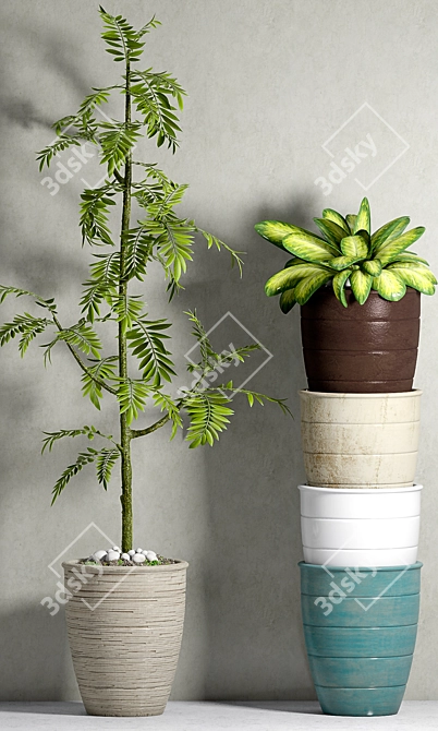 Elegant Botanical Planters Set 3D model image 2