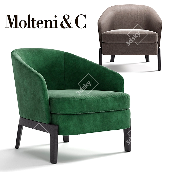 Title: MOLTENI&C CHELSEA Armchair - Modern Elegance for Your Space 3D model image 1