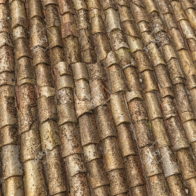 Photorealistic Roof Tiles (Photogrammetry) 3D model image 2