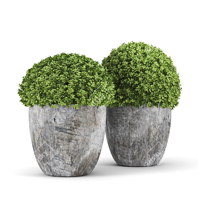 High-Quality Bush 3D Model 3D model image 1