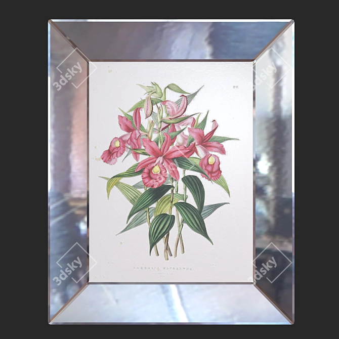 Elegant Orchids in Mirror Frame 3D model image 1