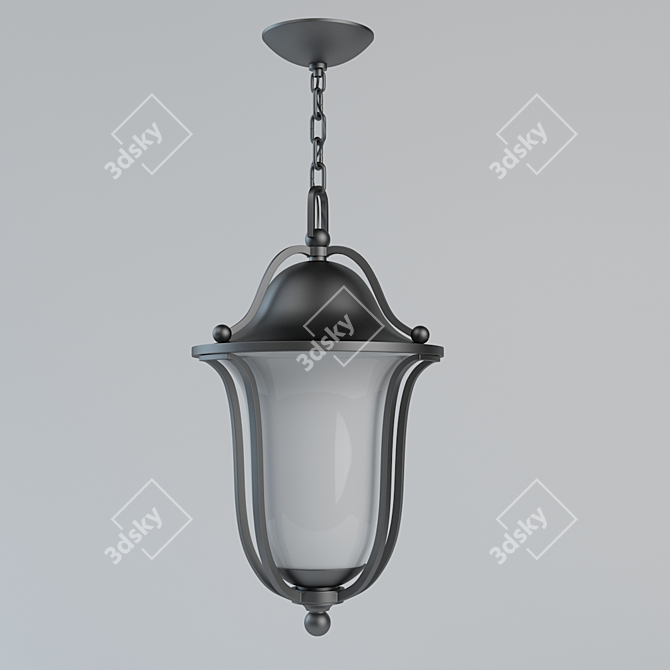 Sleek Black Hinkley Lighting 3D model image 1