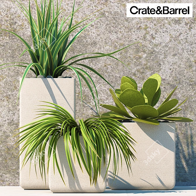 Versatile Greenery Set: PLANTS 60 in Crate&Barrel Pots 3D model image 1