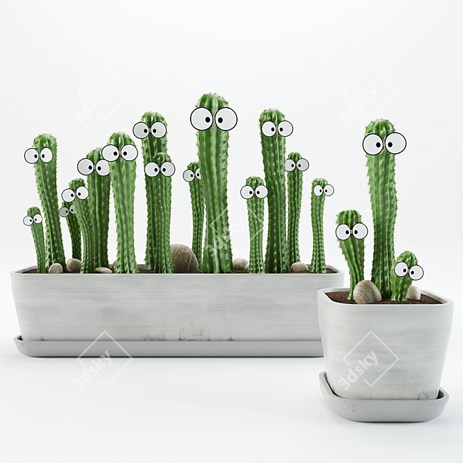 Eye-catching Cactus Duo in Vases 3D model image 1