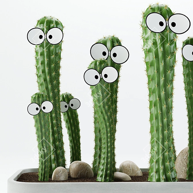 Eye-catching Cactus Duo in Vases 3D model image 2