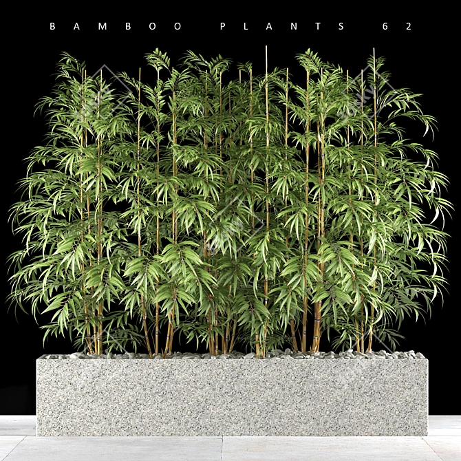 Natural Bamboo Plants - Set of 62 3D model image 1