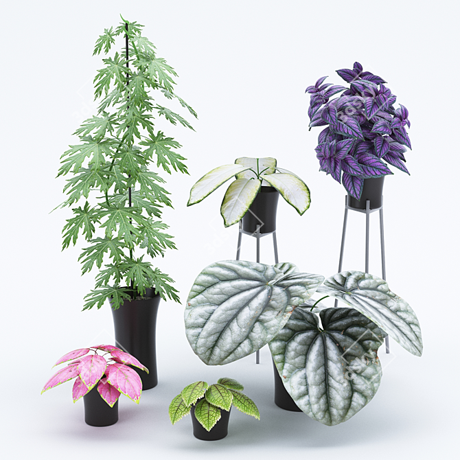 Tropical Paradise: Exquisite Plant Set 3D model image 1