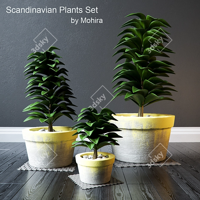 Botanical Bliss: Stunning Plants Set 3D model image 1