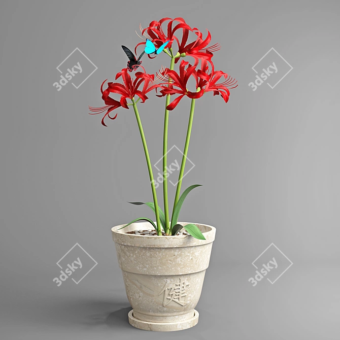 Lycoris: Exquisite Amaryllis Blooms 3D model image 1