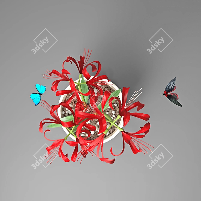 Lycoris: Exquisite Amaryllis Blooms 3D model image 2