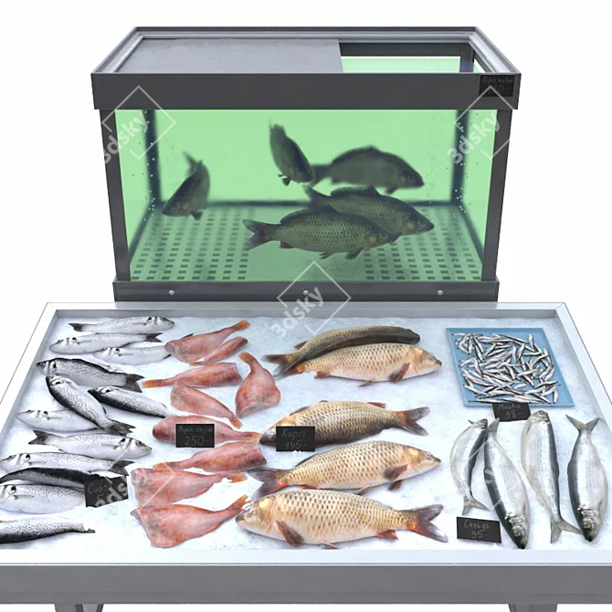 Aquatic Delight Fish Store 3D model image 1