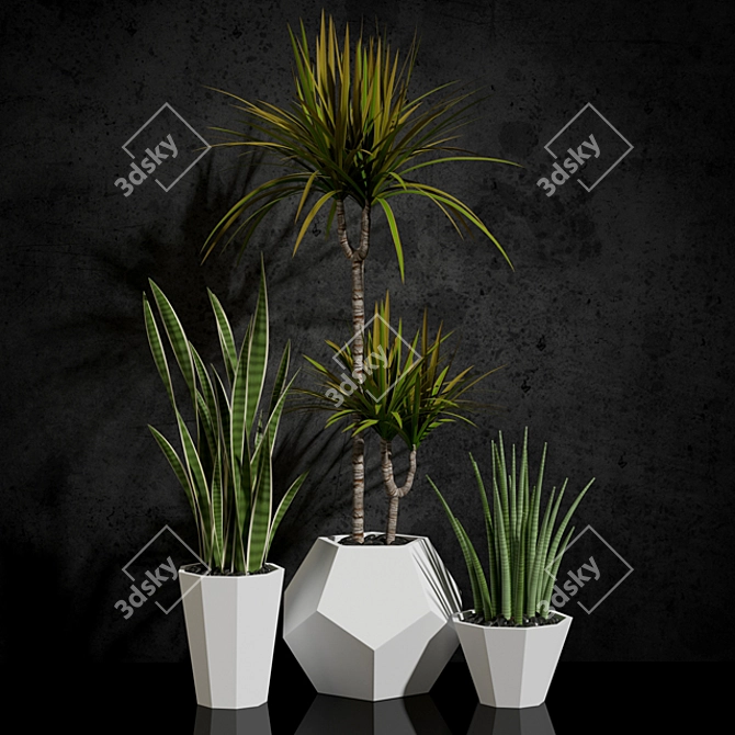 Fresh & fabulous houseplants 3D model image 1