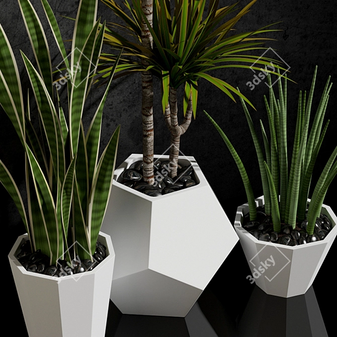 Fresh & fabulous houseplants 3D model image 2