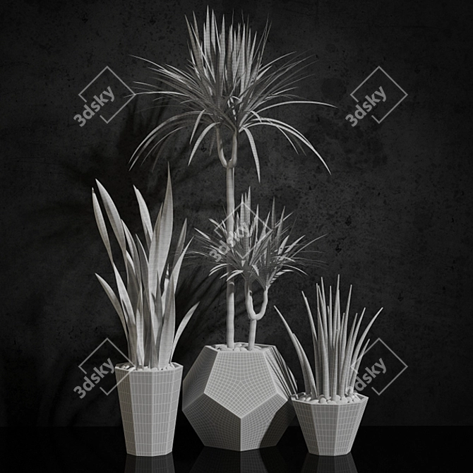 Fresh & fabulous houseplants 3D model image 3