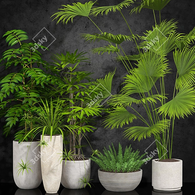 Indoor Plants Collection 3D model image 1