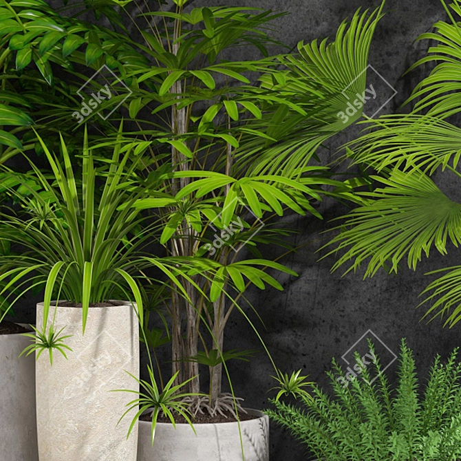 Indoor Plants Collection 3D model image 2