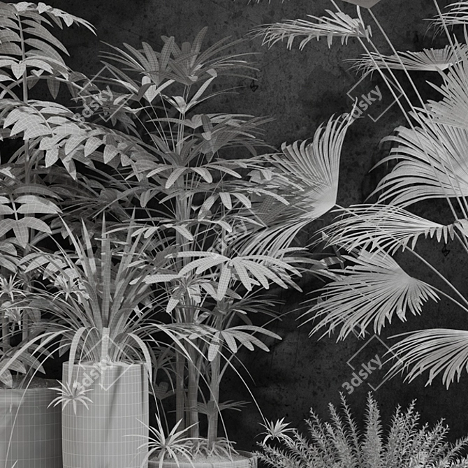 Indoor Plants Collection 3D model image 3