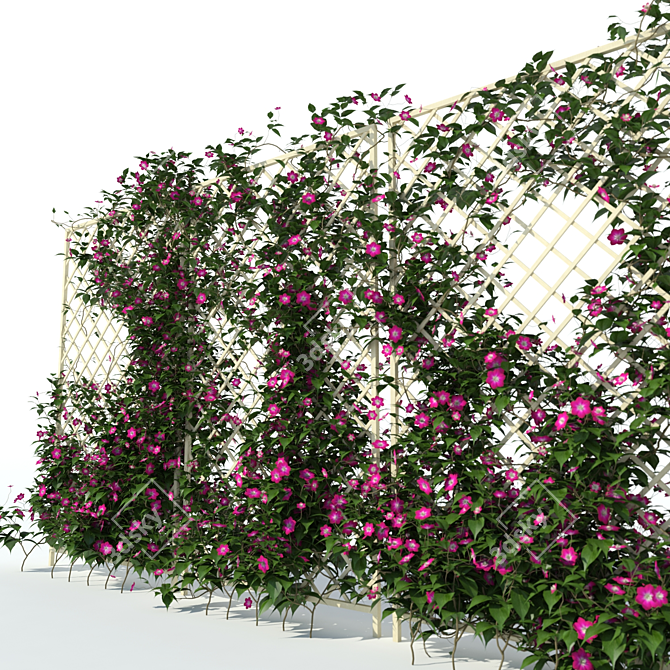 Clematis Vine Hedge | 3D Max Plugin 3D model image 2