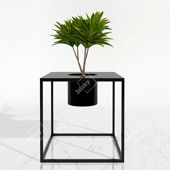 Tropical Oasis Potted Plants 3D model image 3