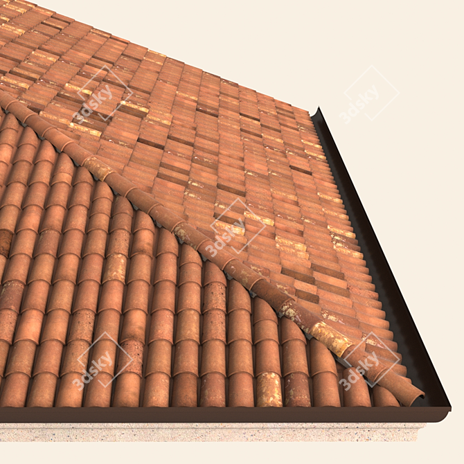 Authentic Italian Tile Roof 3D model image 1