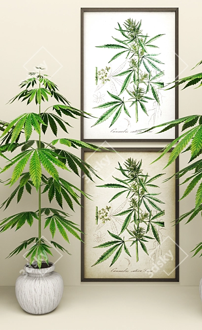 Marijuana Plant: Pot in a Picture 3D model image 2