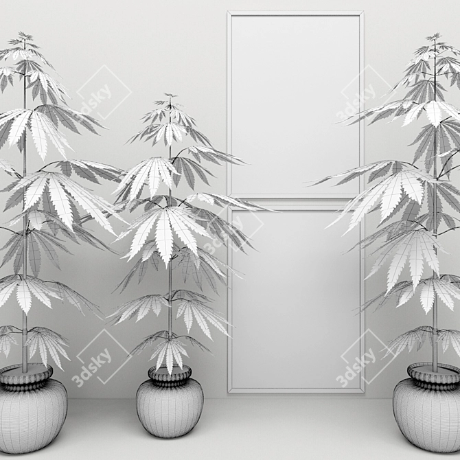 Marijuana Plant: Pot in a Picture 3D model image 3