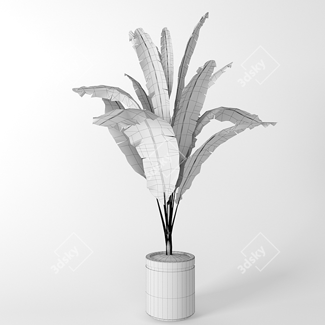 Tropical Bliss: Banana Palm 3D model image 3