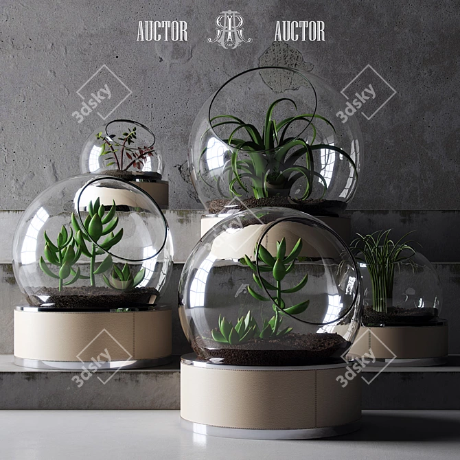 Glass Botanical Collection 3D model image 1