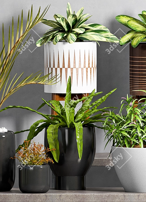 Elegant Planters Set -50% 3D model image 3