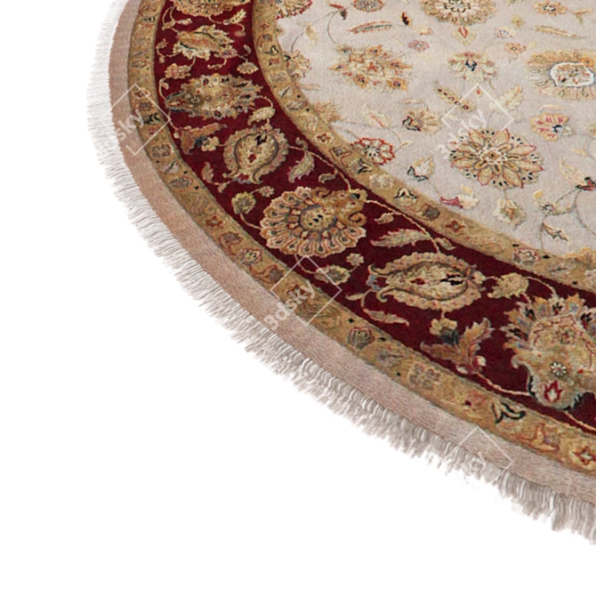 Classic Round Hair Displace Carpet 3D model image 2