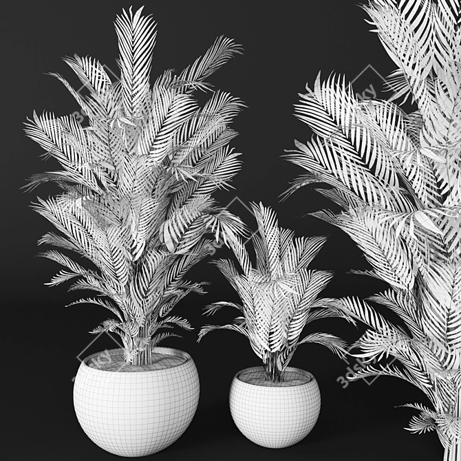 Tropical Beauty: Areca Palm 3D model image 3