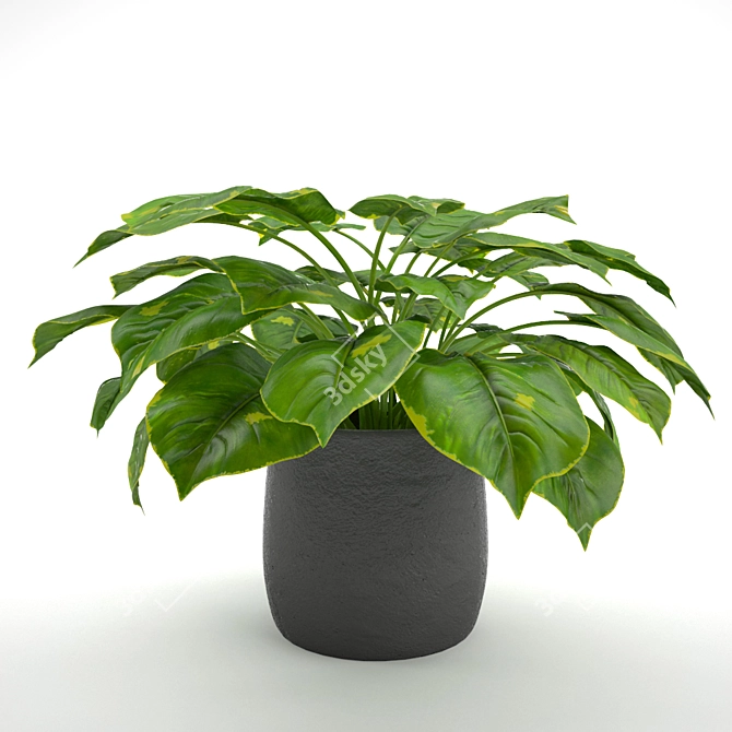 Lush Green Philodendron: A Stunning Evergreen Houseplant 3D model image 1