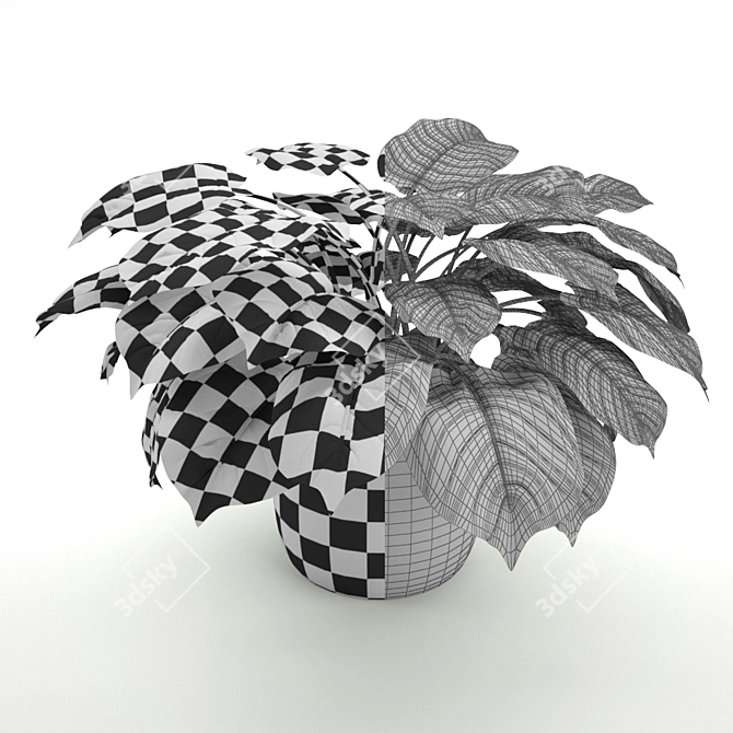 Lush Green Philodendron: A Stunning Evergreen Houseplant 3D model image 3