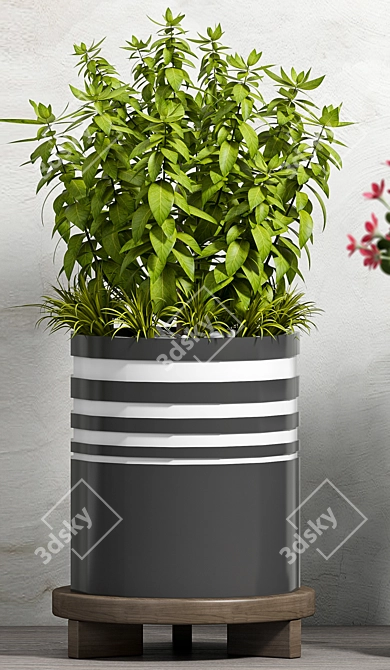 Modern Planter Set - Max Compatibility 3D model image 2