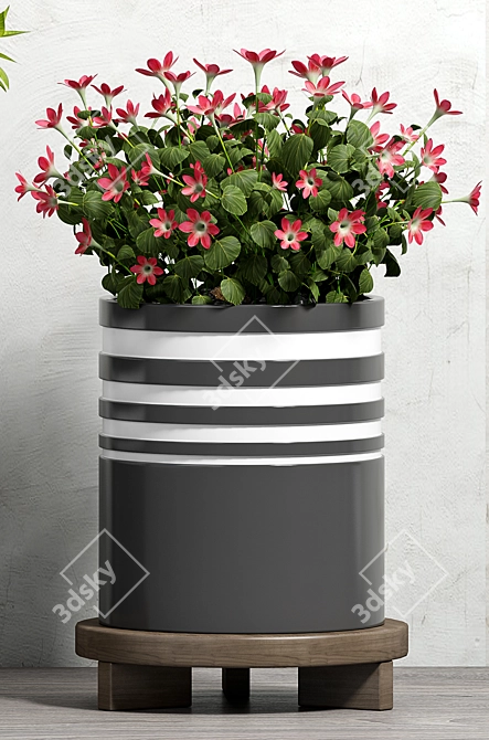 Modern Planter Set - Max Compatibility 3D model image 3