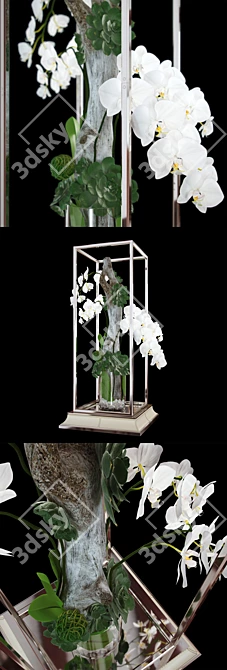 Orchid & Succulent Art Decor 3D model image 2