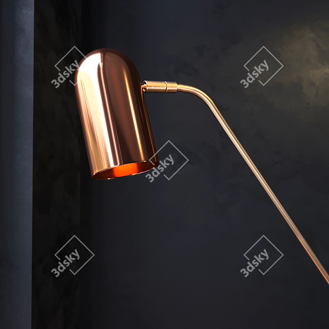 Luxe Brass & Copper Floor Lamp 3D model image 3