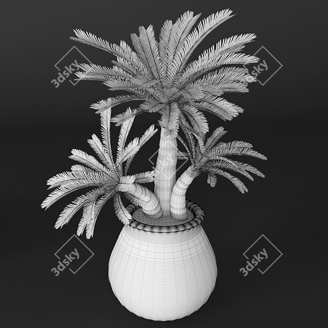 Tropical Charm: Cycas Palm Set 3D model image 3