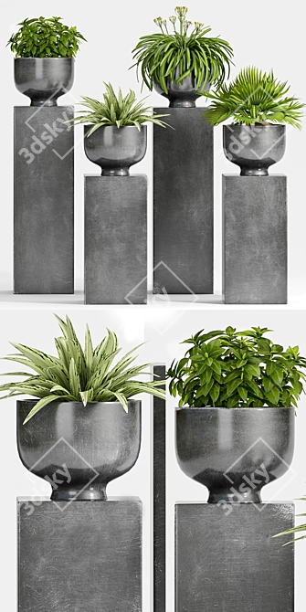 Modern Planter Set, Stylish Decor 3D model image 2