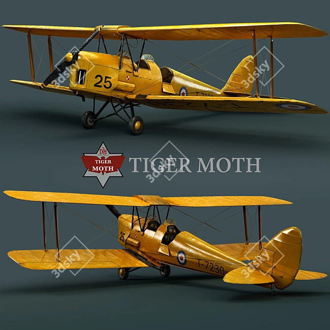 Vintage Tiger Moth Biplane: Classic 1930s Training Aircraft 3D model image 1