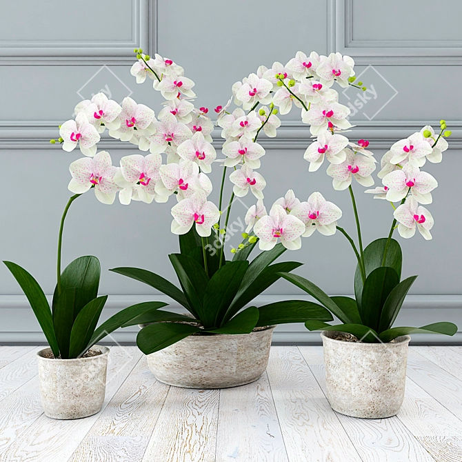 Ethereal White Orchids 3D model image 1