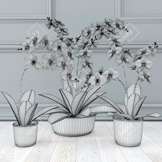 Ethereal White Orchids 3D model image 2