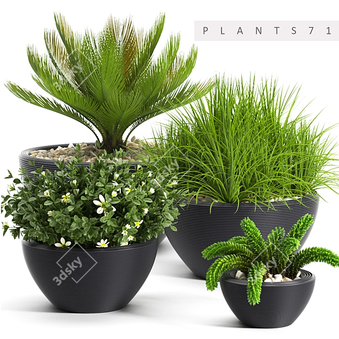 Elegant Plants Collection: 71 Varieties 3D model image 1