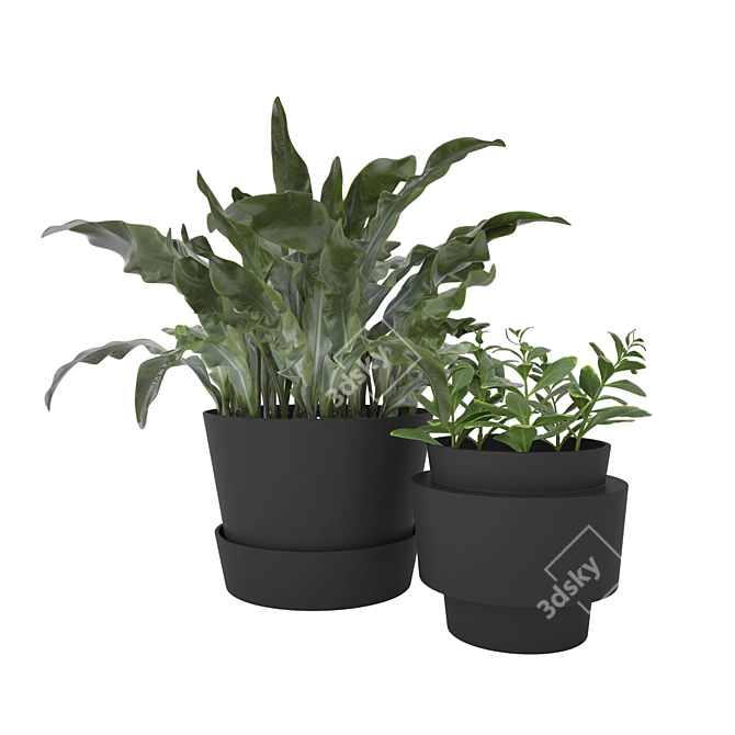 Botanical Beauties: Lush Plants Collection 3D model image 1