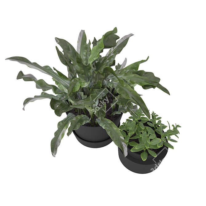 Botanical Beauties: Lush Plants Collection 3D model image 2