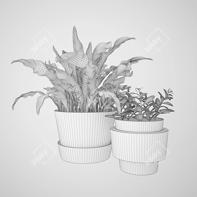 Botanical Beauties: Lush Plants Collection 3D model image 3
