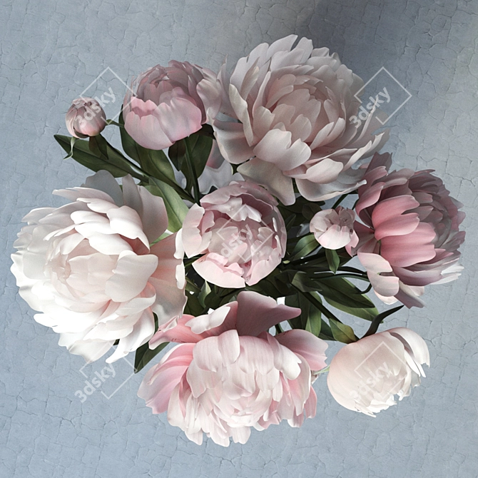 Elegant Peonies in a Vase 3D model image 2