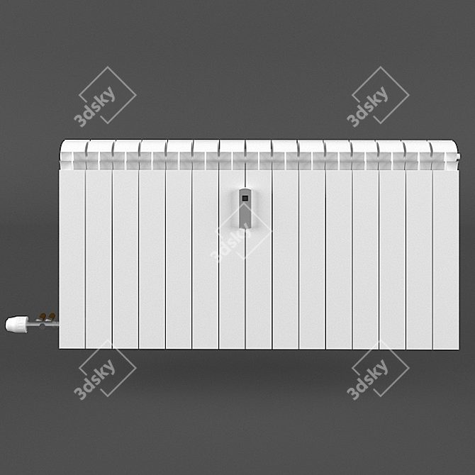 Heatwave Radiator with Thermometer 3D model image 1