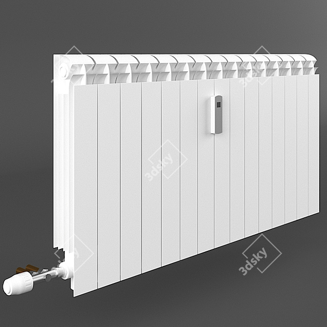 Heatwave Radiator with Thermometer 3D model image 2