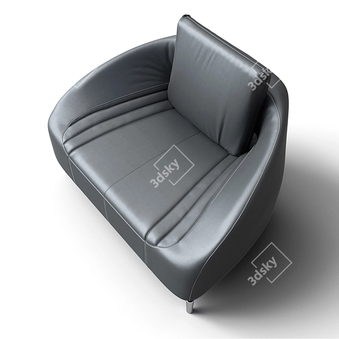 Luxurious Leolux Loveseat: Vol de Reve 3D model image 2